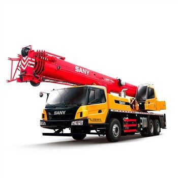 Gru Sany 25 Ton