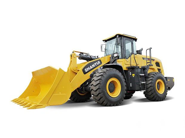 620w465h1574327965889847.jpg!1024x1024