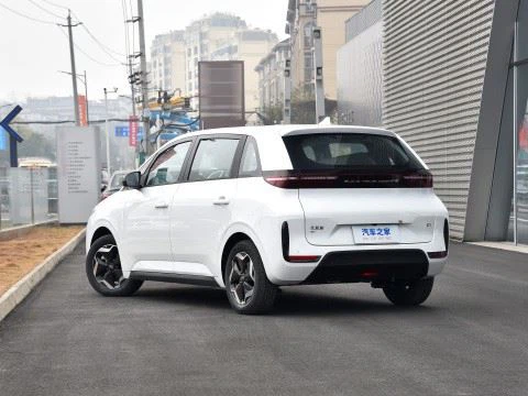 New Energy Electric BYD D1