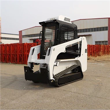 Terne Skid Steer