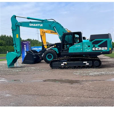 Grande escavatore idraulico