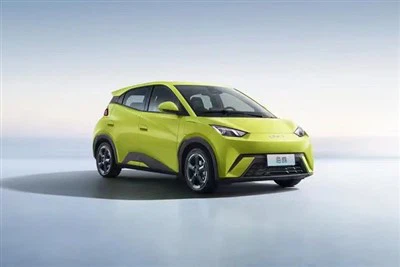 Smart Car BYD - Gabbiano