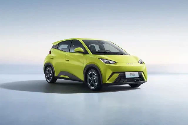 Smart Car BYD - Gabbiano